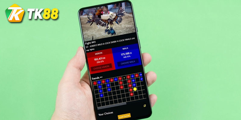Đá gà Tk88 | Sảnh cá cược top đầu châu lục 1 Những ưu điểm khi tham gia đá gà nhà cái tk88